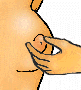 Pez�n